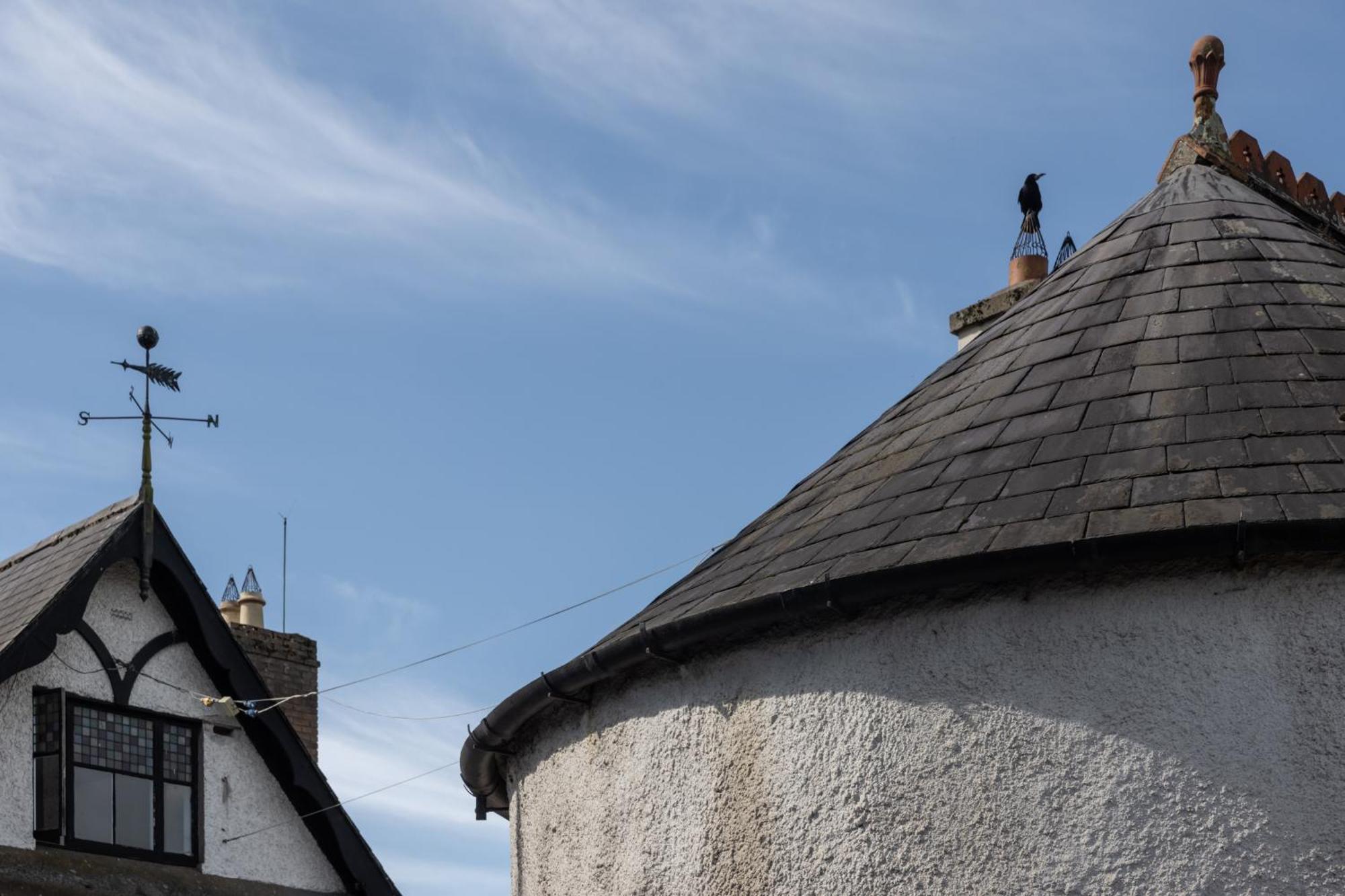 Castletown Round House Vila Celbridge Exterior foto